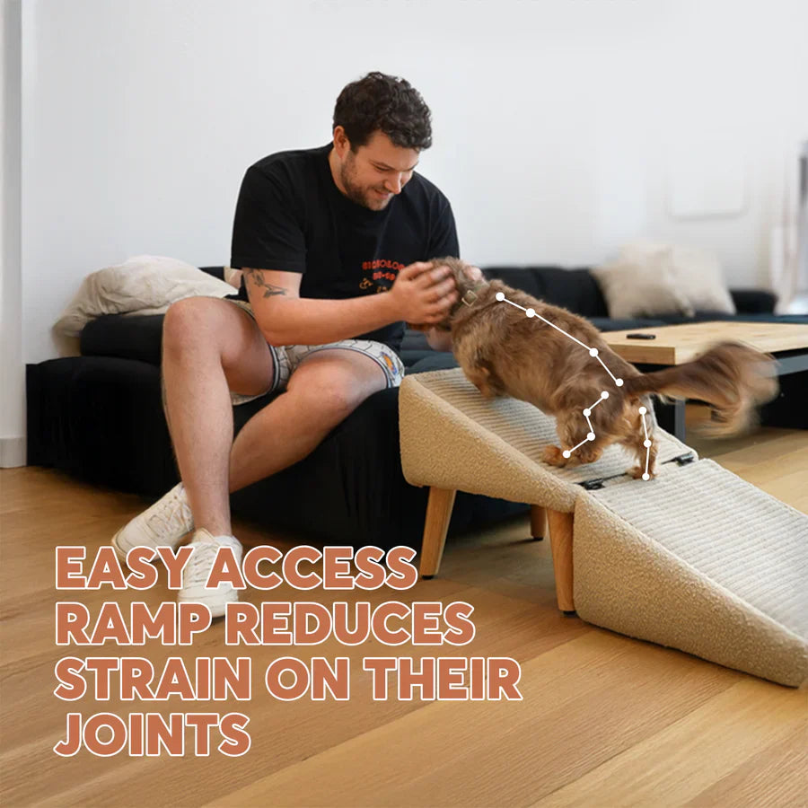 Foldable Couch & Bed Ramp