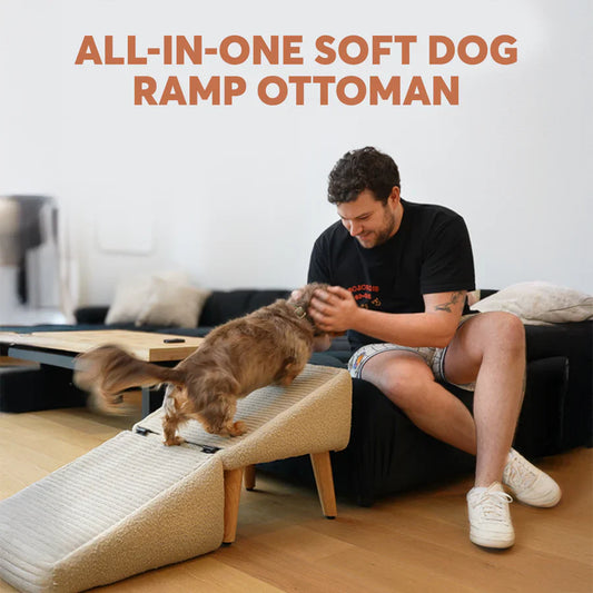 Foldable Couch & Bed Ramp
