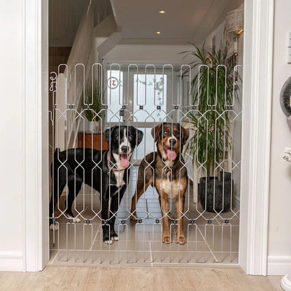 DOG Plus Stairway/Doorway