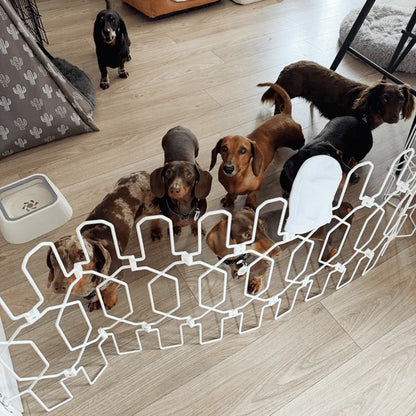 DOG Plus Stairway/Doorway