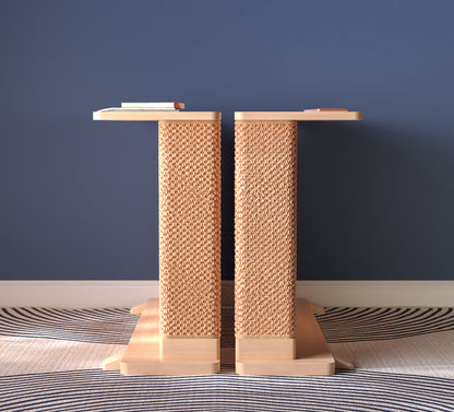 Corner End Table with Cat Scratch Panel